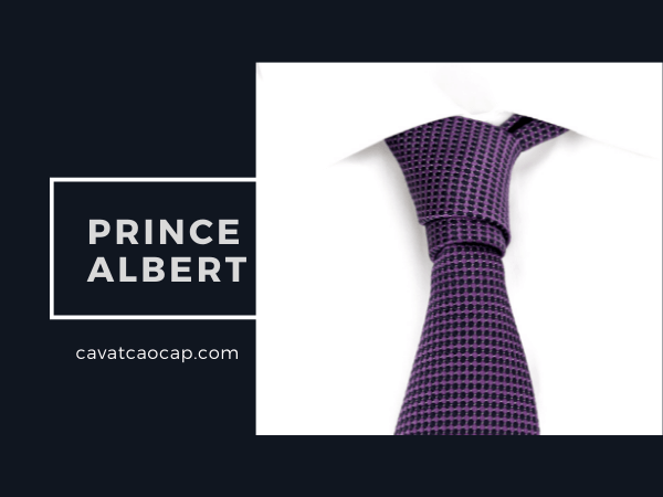 ình ảnh: Nút thắt cà vạt kiểu Prince Albert đẹp