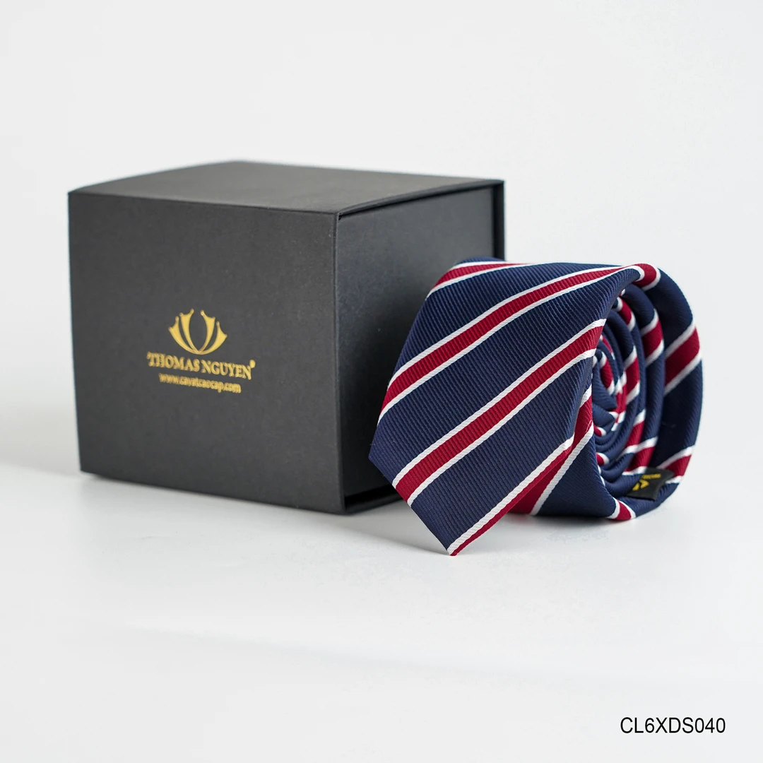 Cà Vạt Lụa Tổng Hợp Bản 6 cm - CL6XDS040